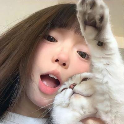 母牛总动员 海报